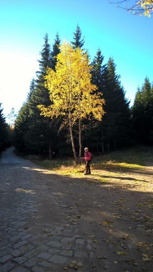 Pokoj Kameralny- De Luxe Z Oddzielnym Wejsciem Karpacz Esterno foto